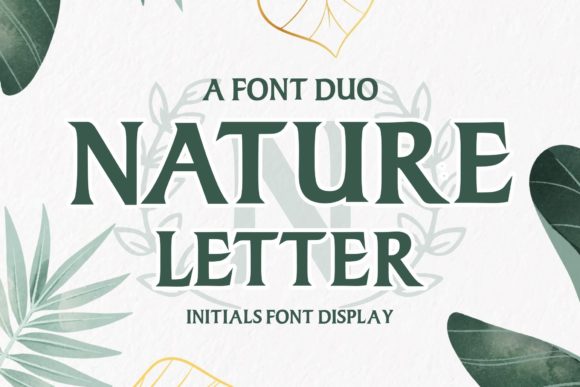 Nature Letter: A Serif Font for Editorial Calm